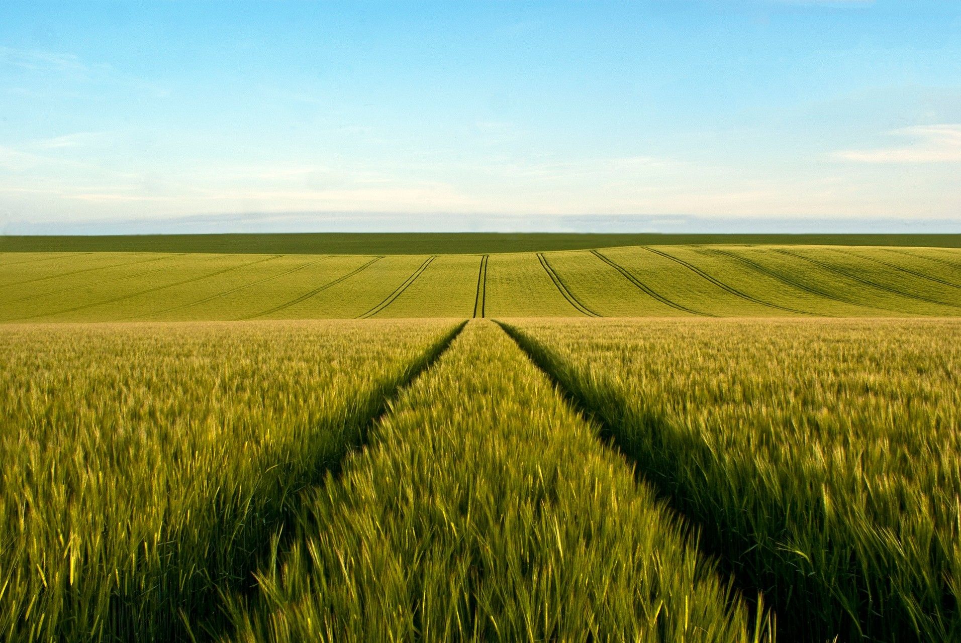 Agriculture